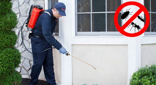 Lice Böcek ve Haşere İlaçlama böcek ilaçlama ve haşere kontrolü — ilaclama-tr.com